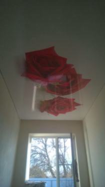 натяжной потолок розы