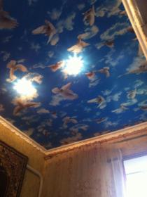 натяжной потолок голуби