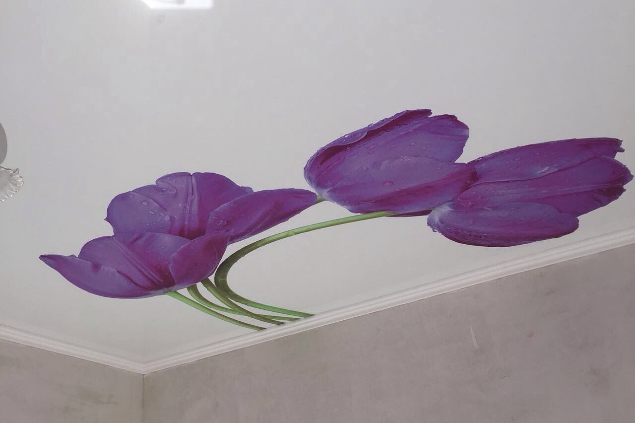 Натяжной потолок Тимашевск фотопечать цветы
